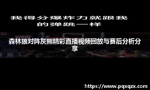 森林狼对阵灰熊精彩直播视频回放与赛后分析分享